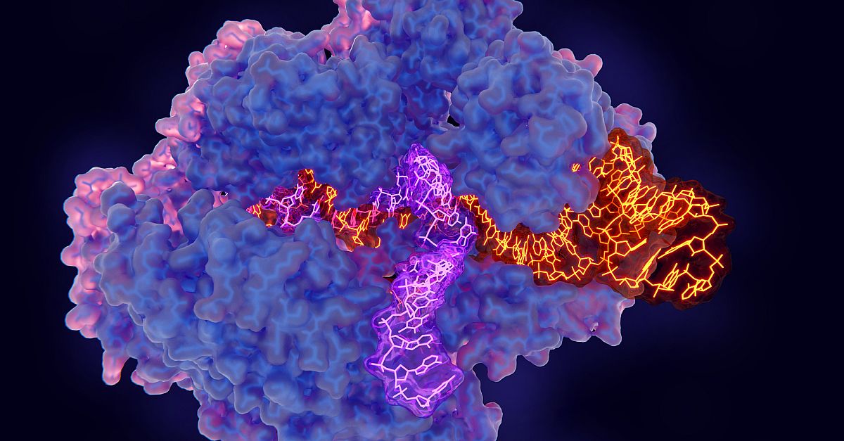 changing Code Life Nobel Prize Chemistry 2020 Awarded Discovery CRISPR Cas9 Genetic Scissors Aptitude health