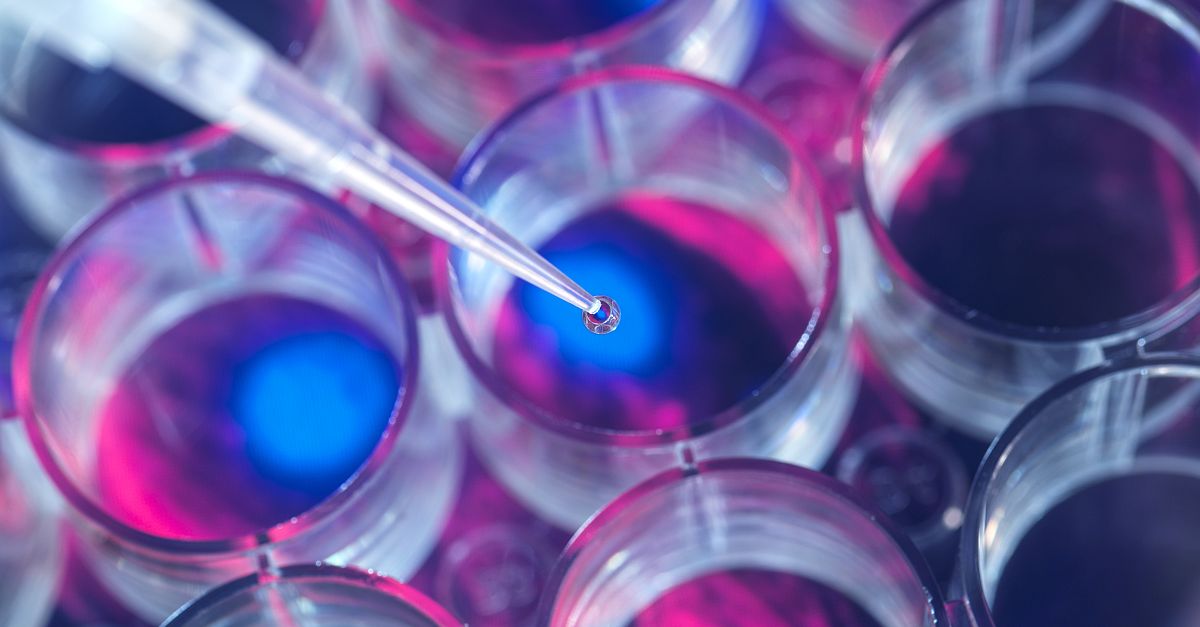 Cell research scientist pipetting samples into a multi well plate during an experiment in the lab